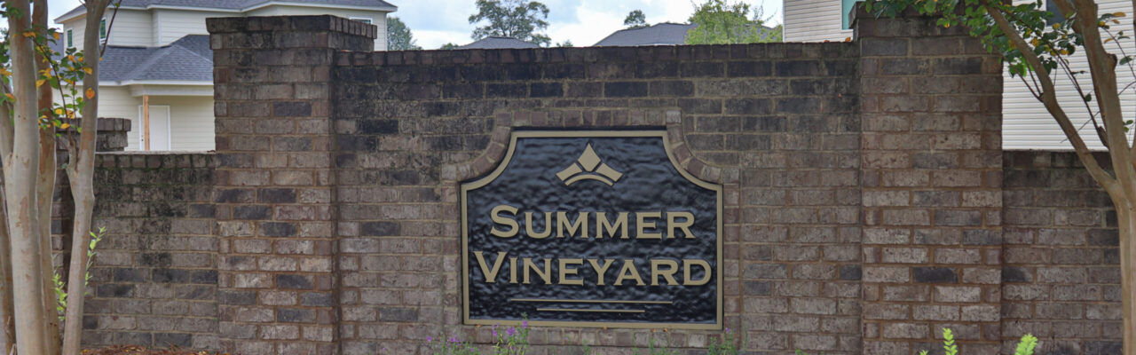 2020 Summer Vineyard 1