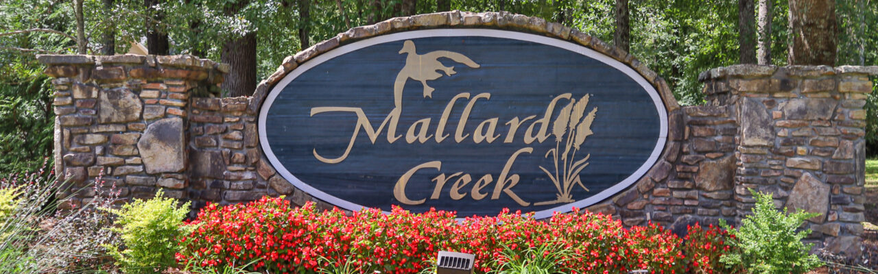 Mallard Creek-1